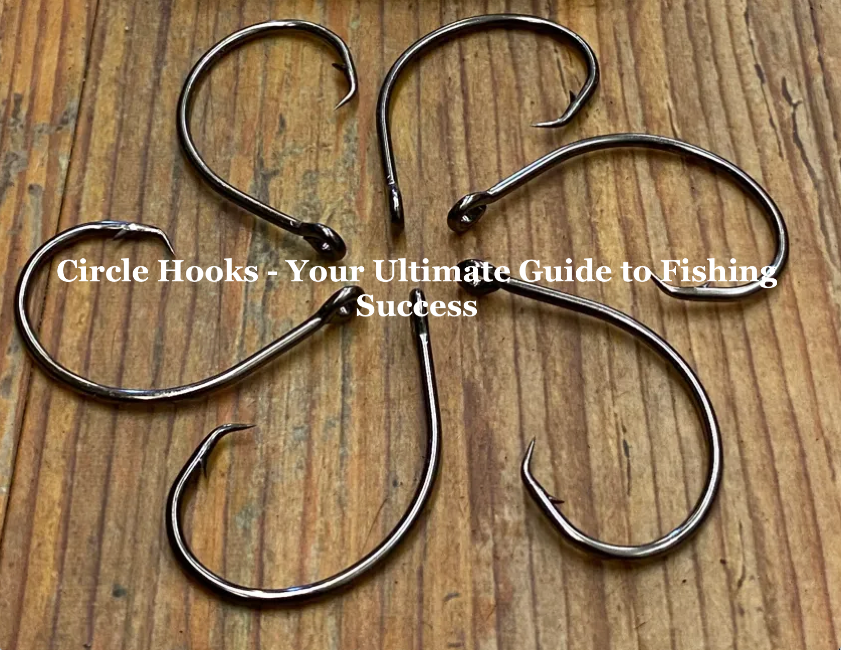 Circle Hooks - Your Ultimate Guide to Fishing Success