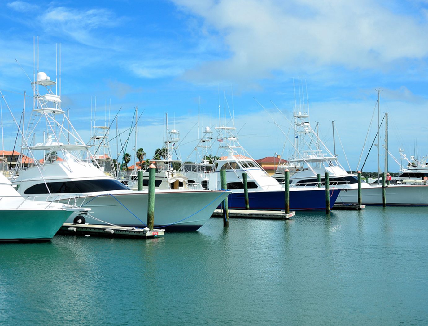 Florida Fishing License Guide - Everything You Need to Know Before You Fish