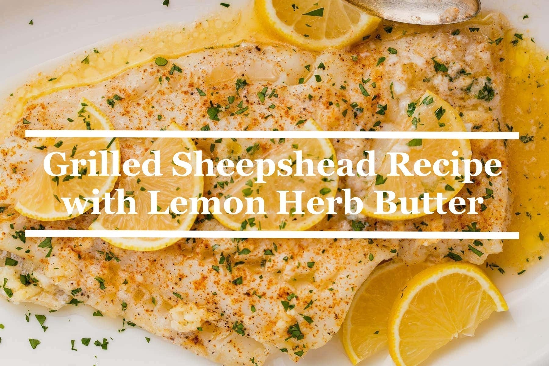 Grilled Sheepshead Recipe with Lemon Herb Butter