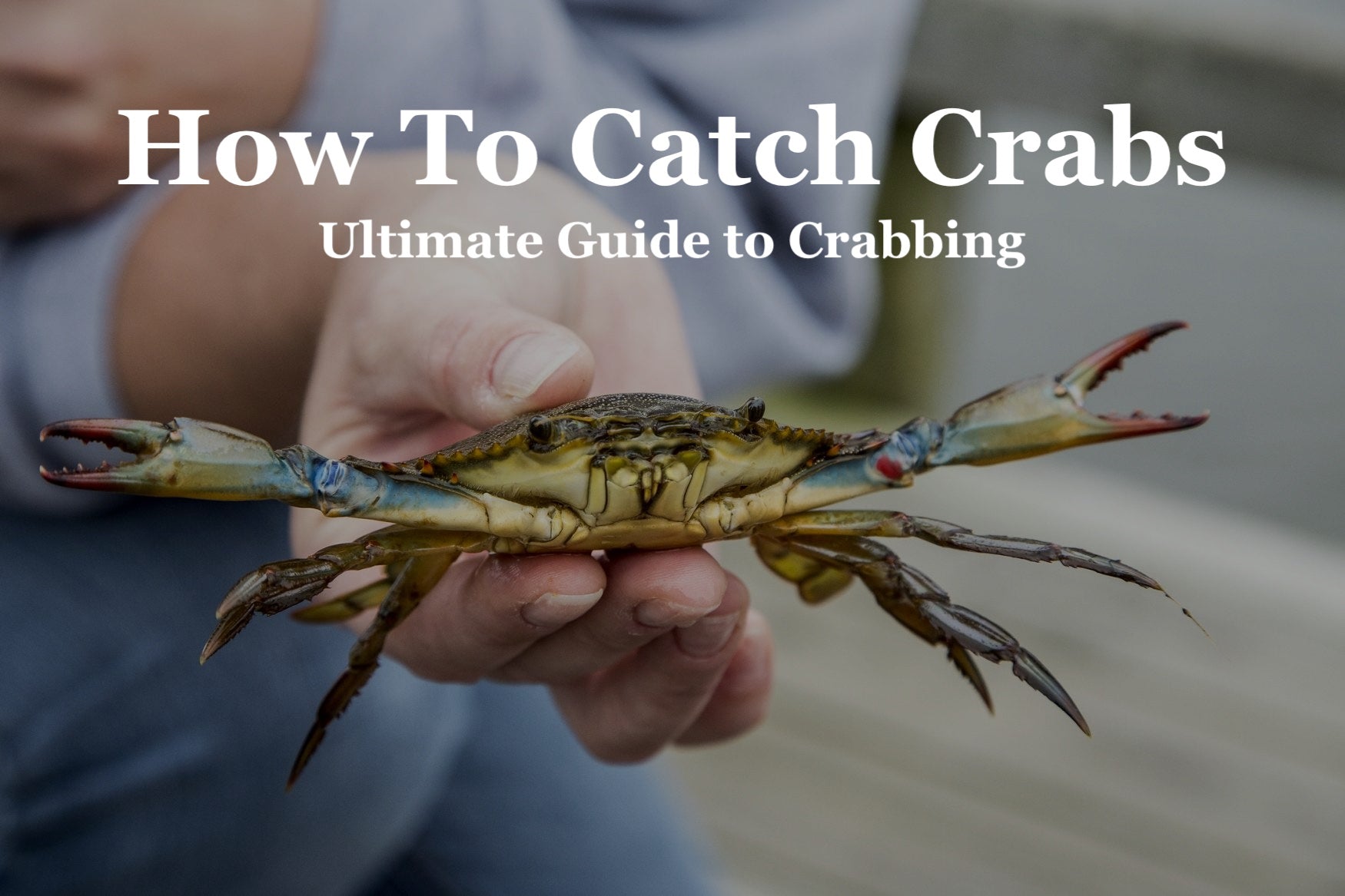 How To Catch Crabs - Ultimate Guide to Crabbing