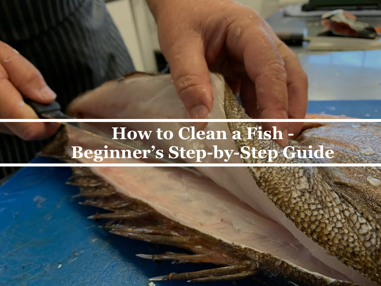 How to Clean a Fish - Beginner’s Step-by-Step Guide