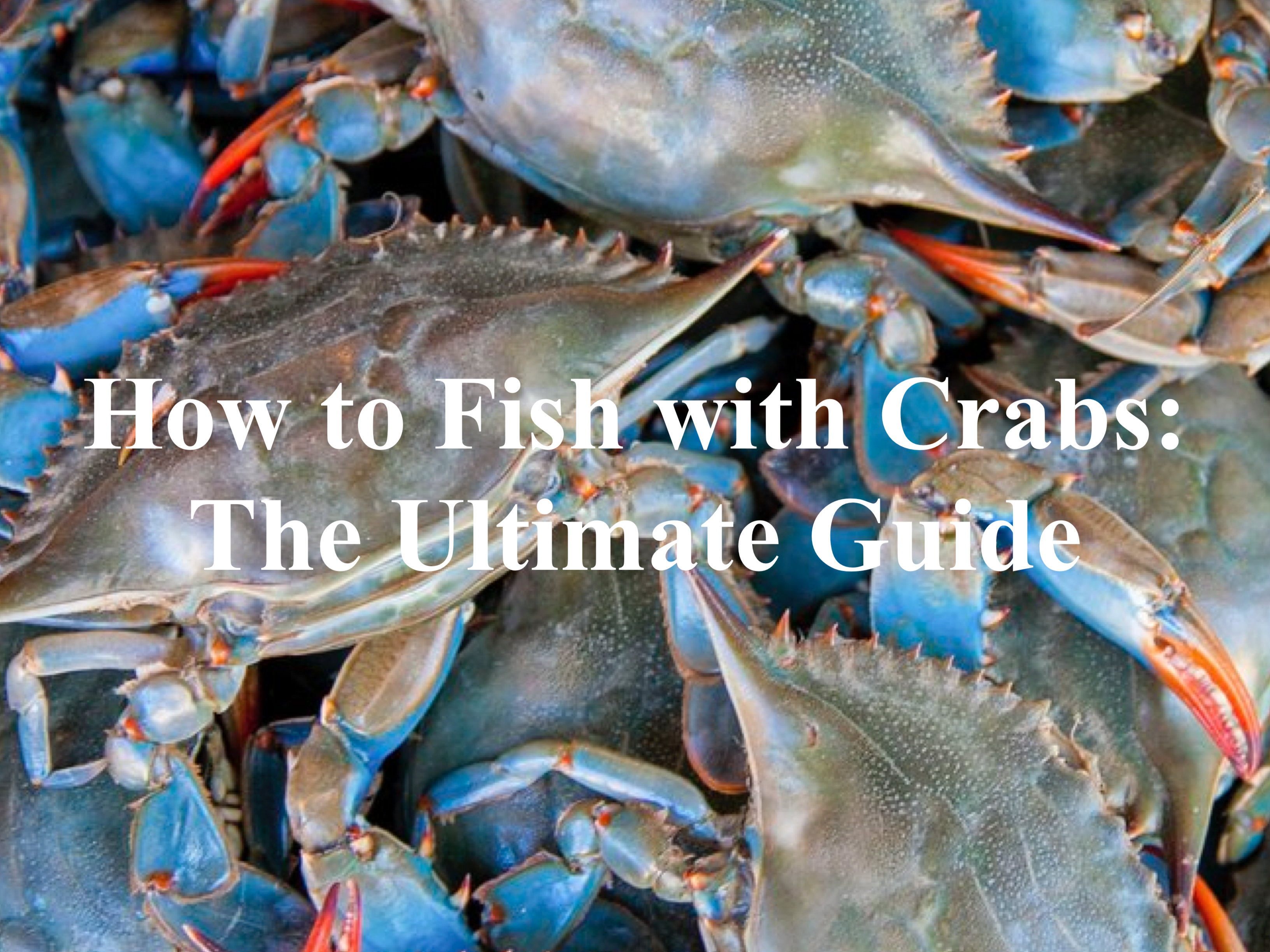 How to Fish with Crabs: The Ultimate Guide