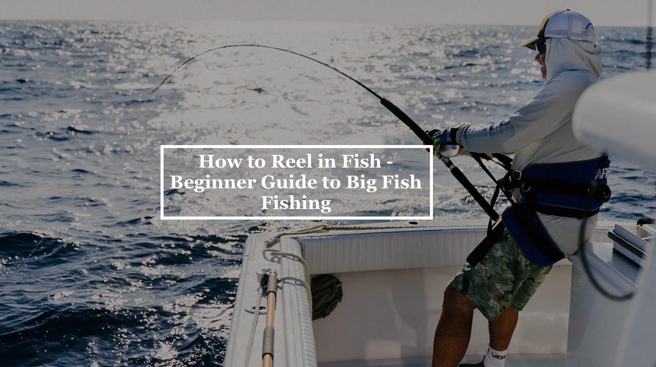 How to Reel in Fish - Beginner Guide to Big Fish Fishing