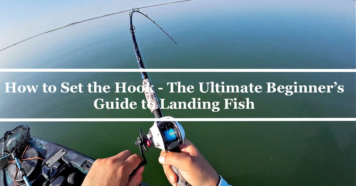 How to Set the Hook - The Ultimate Beginner’s Guide to Landing Fish