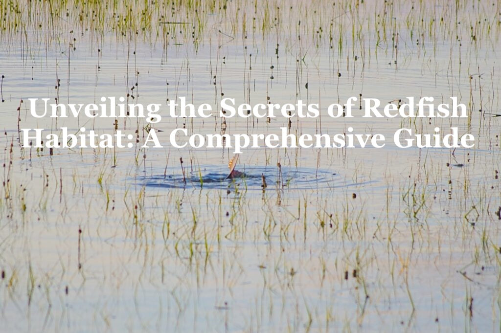 Unveiling the Secrets of Redfish Habitat - A Comprehensive Guide