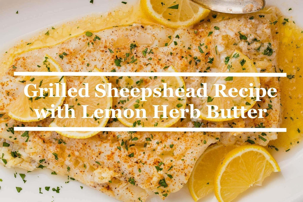 Grilled Sheepshead Recipe with Lemon Herb Butter