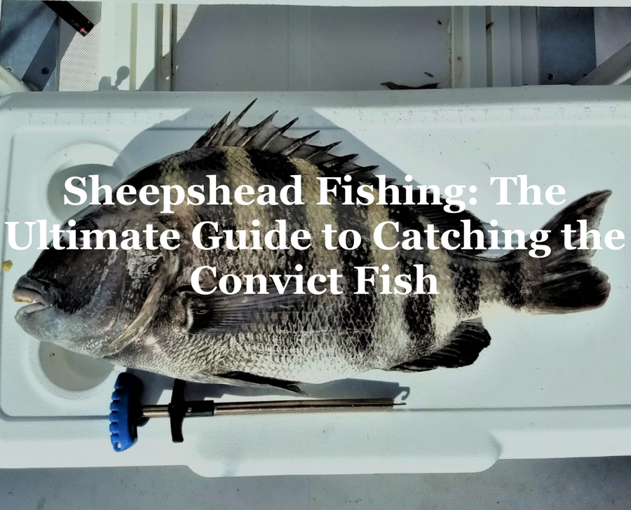 Best Sheepshead Fishing Rigs: Ultimate Guide for Anglers – Tackle Pier