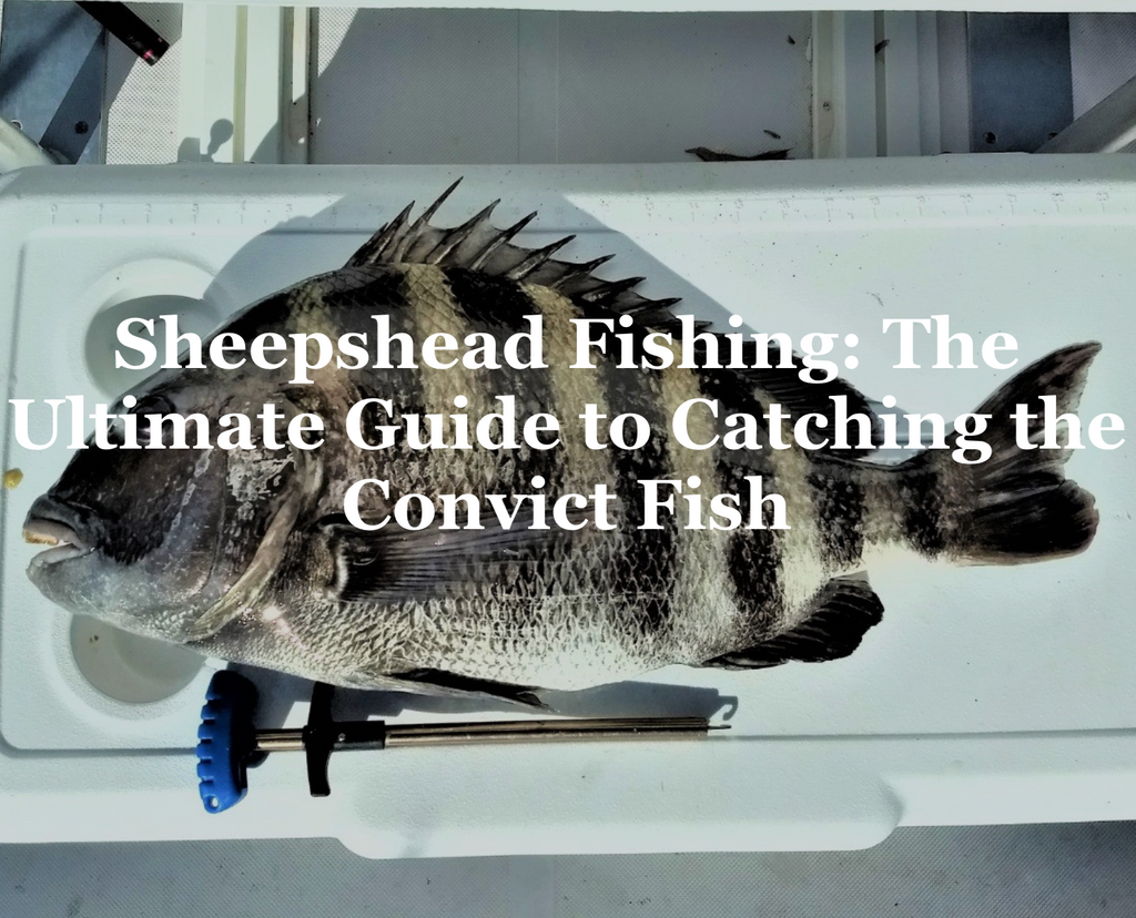 Sheepshead Fishing - The Ultimate Guide to Catching the Convict Fish