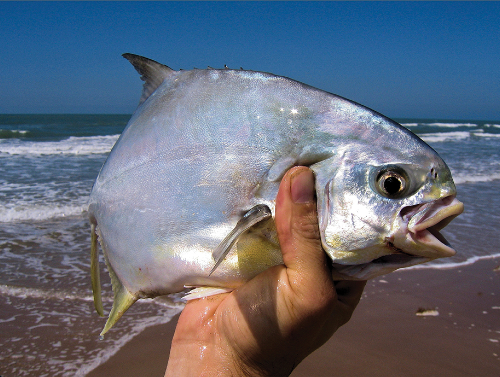 Pompano Fishing