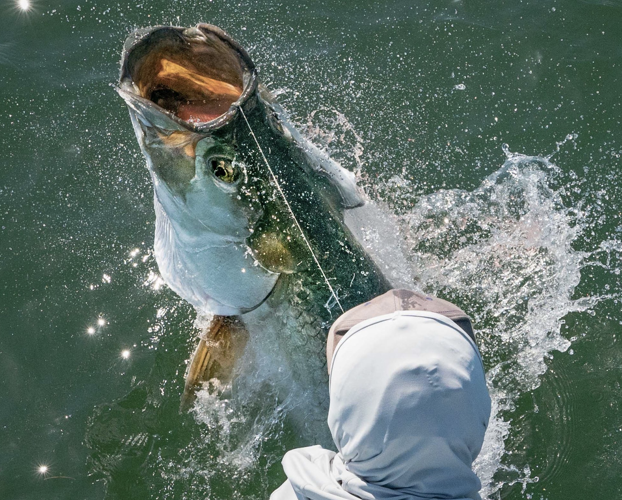 Florida Saltwater Fishing Regulations