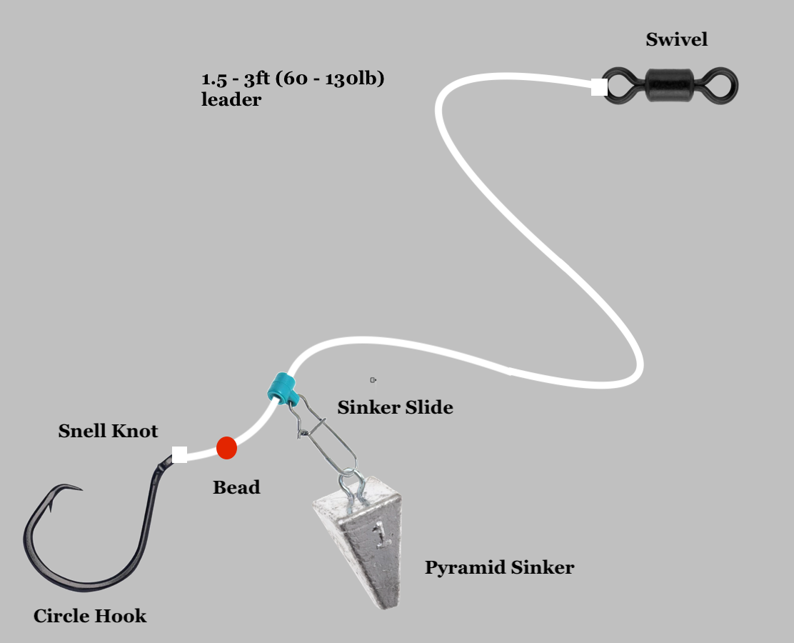Best Red Drum Fishing Rigs: Top Setups to Catch Redfish – Tackle Pier
