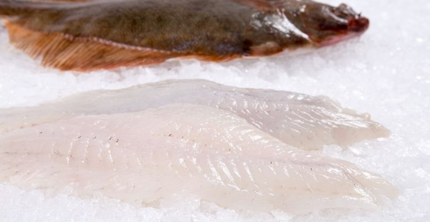 Flounder Recipes
