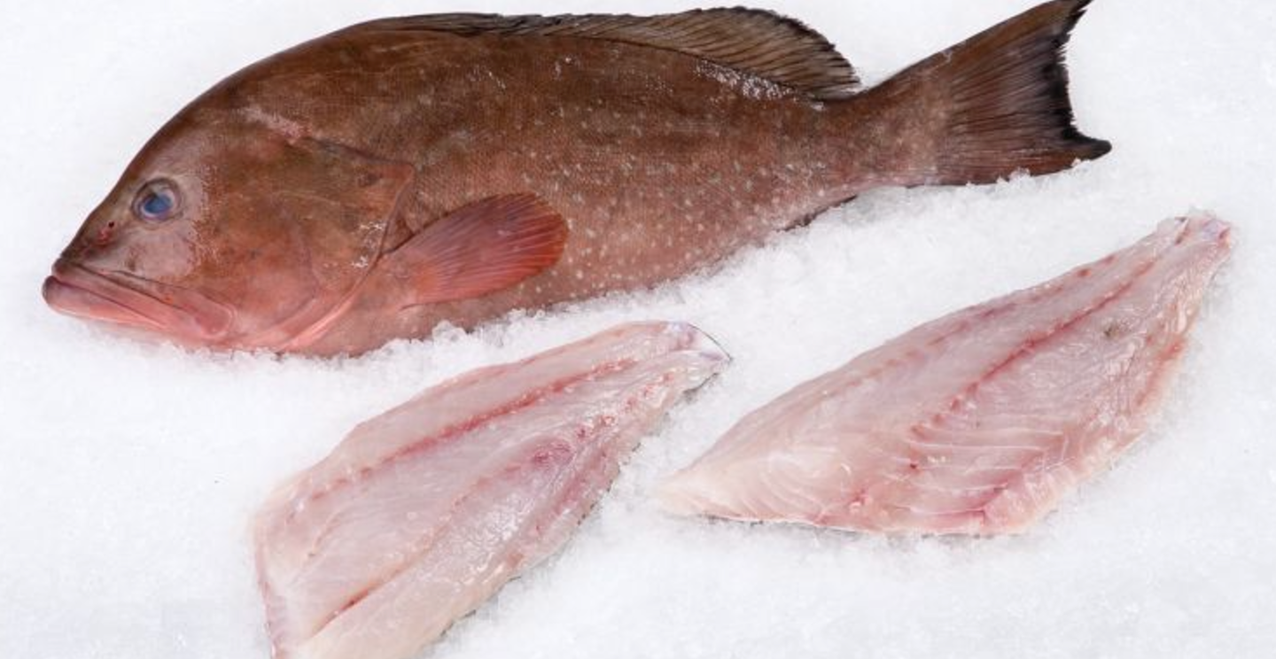 Grouper Recipes