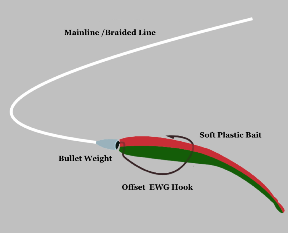Best Red Drum Fishing Rigs: Top Setups to Catch Redfish – Tackle Pier