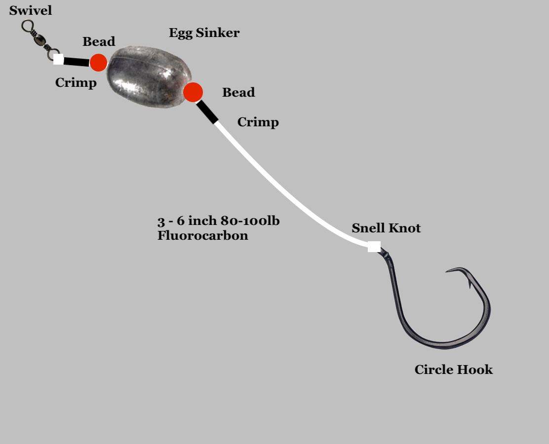 Owen Lupton Drum Rig