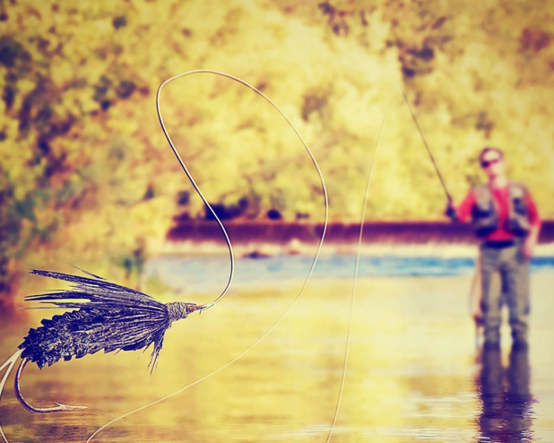 How to Fly Fish