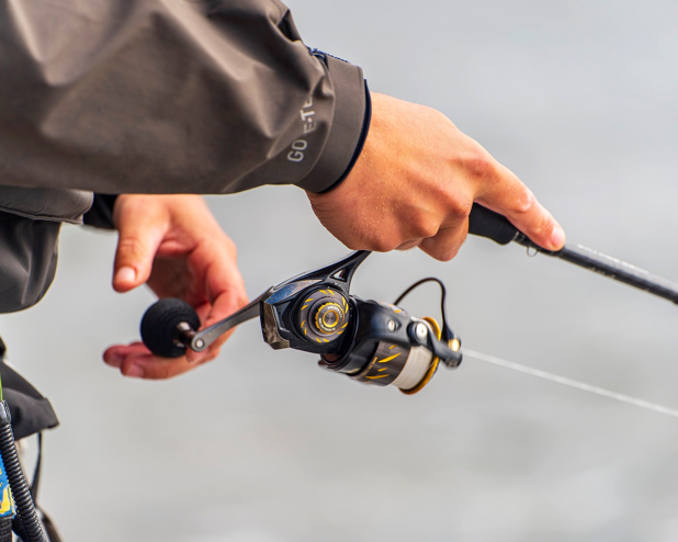 How to Reel in Fish