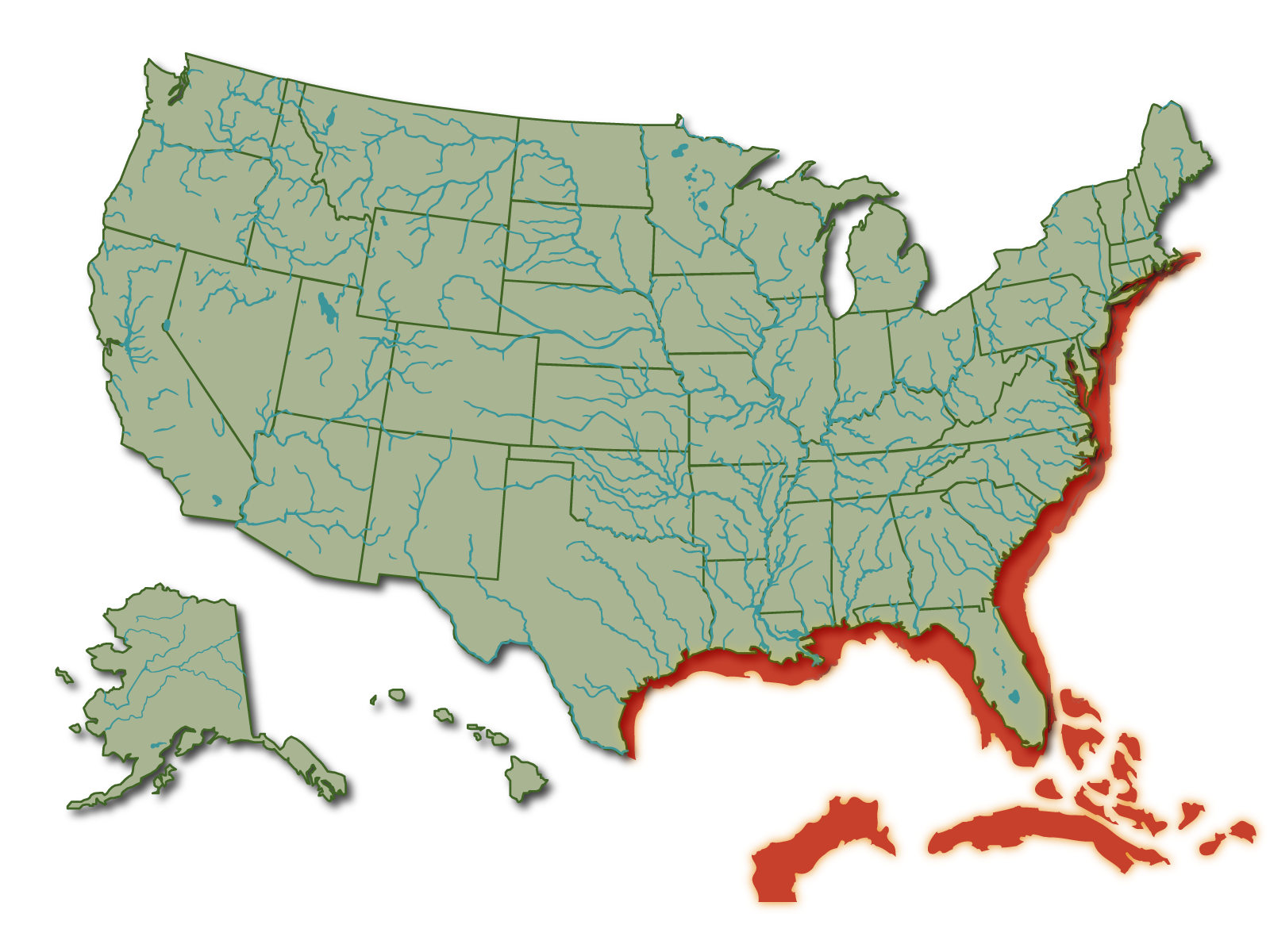 Red Drum Fish Habitat