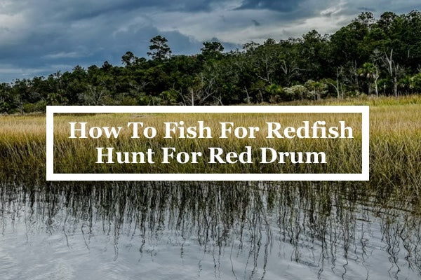 How to fish for redfish Guide