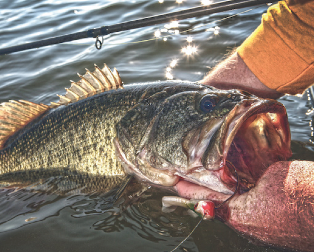 Florida Freshwater Fishing Regulations