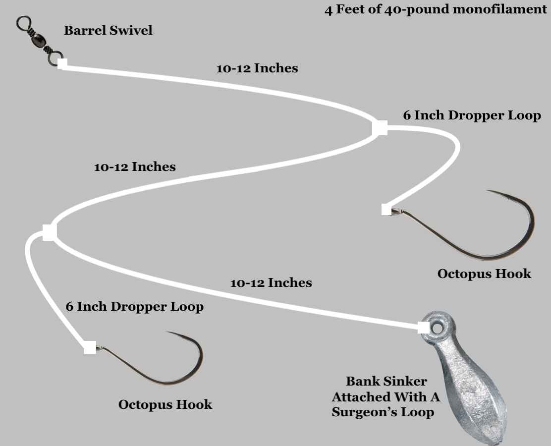 Best Red Drum Fishing Rigs: Top Setups to Catch Redfish – Tackle Pier