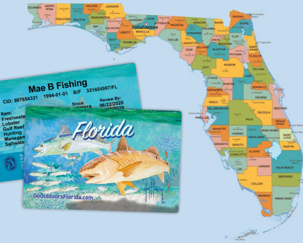 Florida Saltwater Licenses & Permits