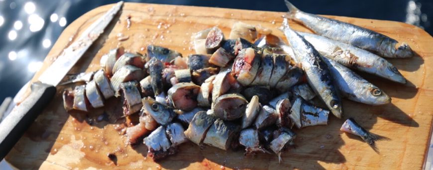 Saltwater Fishing Bait