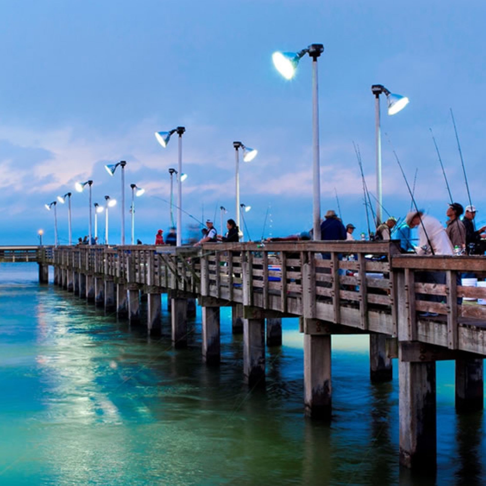 Types of Saltwater Fishing