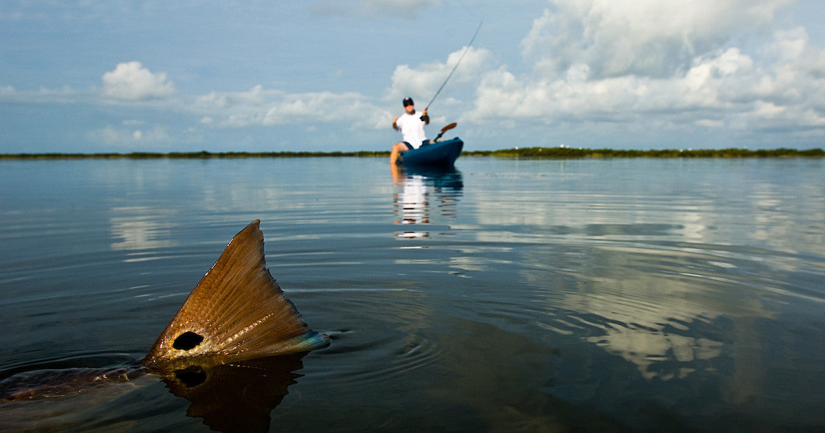 Identifying Redfish