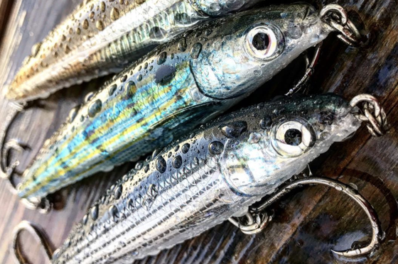 Top Inline Fishing Hooks Compared